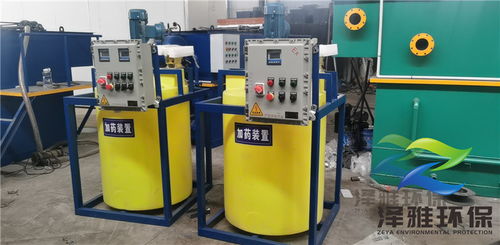 黑龍江省伊春市 管道加藥裝置助力工業(yè)廢水治理，環(huán)保設(shè)備研發(fā)引領(lǐng)綠色發(fā)展