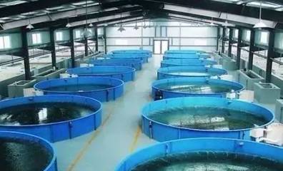 既要養好魚，又要護生態 一文秒懂《工廠化水產養殖系統》安裝指南