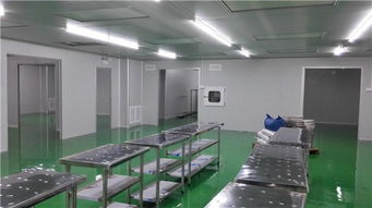 專業無塵實驗室建設專家 無錫谷能凈化與石家莊無塵實驗室安裝服務詳解